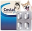 Picture of Ceva CESTAL PLUS DLA PSA BLISTER 8tabl NA      ODROBACZANIE