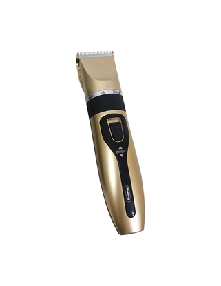 Picture of Clipper rechargeable Rosberg R51810K, USB, 5W, Champagne