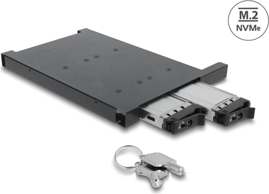 Изображение Delock Mobile Rack for 2 x M.2 NMVe SSD with SFF-8654 connector for 12.7 mm Slim ODD Bay