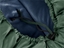 Attēls no Deuter piwór damski Orbit 0 SL (175 cm) - ivy/ink rozmiar: lewy