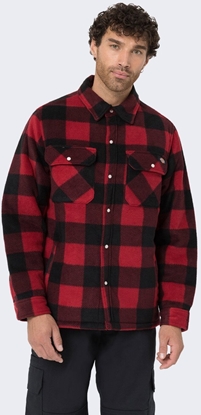 Picture of Dickies Koszula Dickies Portland Red