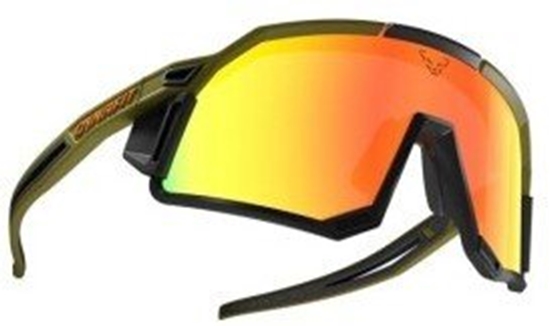Picture of Dynafit DYNAFIT sky evo-winter moss-dawn