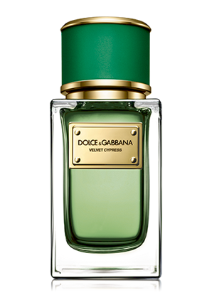 Изображение Dolce & Gabbana Velvet Cypress EDP U 150 ml