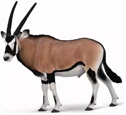 Picture of Figurka Collecta COLLECTA GEMSBOK
