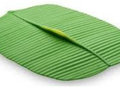 Attēls no galeria plakatu Charles Viancin BANANA LEAF 35x25 cm Silicone Lid green