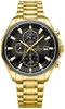 Picture of Giewont Chronograph Sapphire Men’s Watch / gold/black