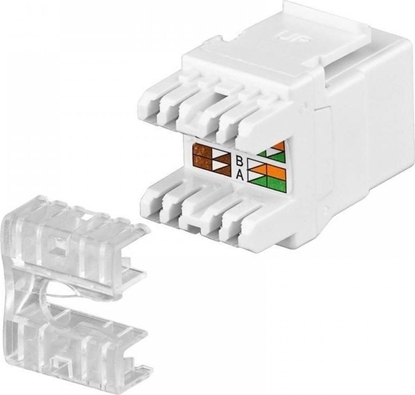 Изображение Intellinet Modu Keystone RJ45 Cat5e UTP LSA IWP-MD C5E/90W