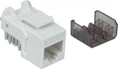 Изображение Intellinet Modu RJ45 Cat6a 10 Gigabit IWP-MD C6A/WH