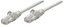 Picture of Intellinet Network Solutions Patchcord Cat6, SFTP, 1.5m, szary (739849)