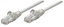 Picture of Intellinet Network Solutions Patchcord Cat6A SFTP, CU 0.25m, szary (736992)