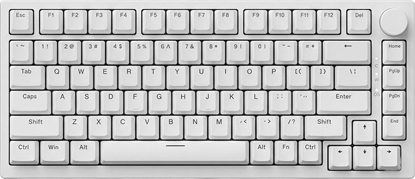 Picture of Klawiatura Ajazz AK820 Ajazz Sea Salt (AK820-R-W)