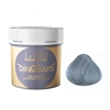 Изображение La Riché Directions Semi-Permanent Conditioning Hair Colour Silver 88 ml