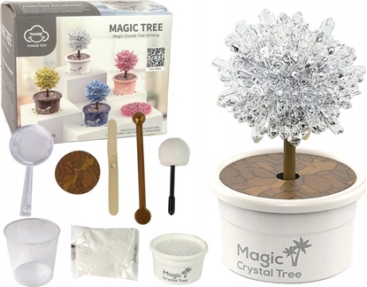 Picture of LeanToys Magiczne Drzewko Hodowla Krysztaów Dowiadczenia Srebrne LEAN Toys