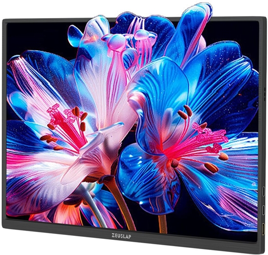 Picture of Monitor Zeuslap Z16K