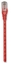 Attēls no Patchcord Cat6 UTP 0,3m 100% CU czerwony