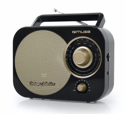 Picture of Portable Radio, MUSE, M 055 RB