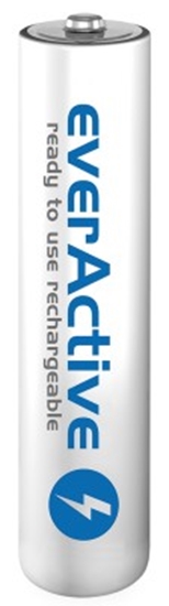 Picture of R03/AAA akumulatori 1.2V everActive Professional line Ni-MH 1050 mAh bez iepakojuma 1gb