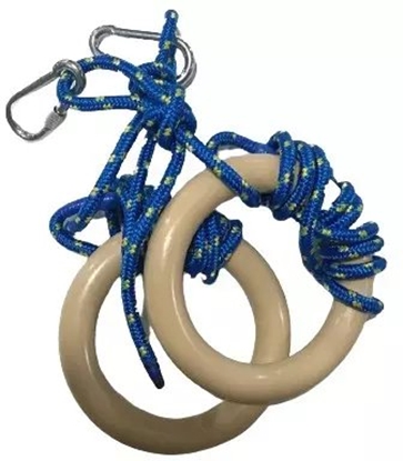 Picture of tiguar gymnastic rings