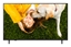 Attēls no TV SET LCD 75" 4K/75UA751C LG