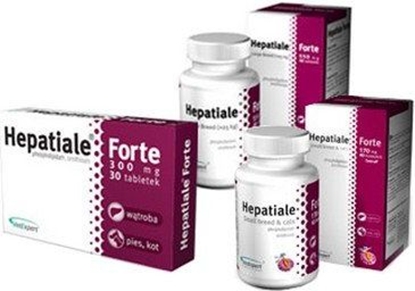 Picture of VET EXPERT HEPATIALE FORTE SMALL BREED and CATS 170MG 40TBL