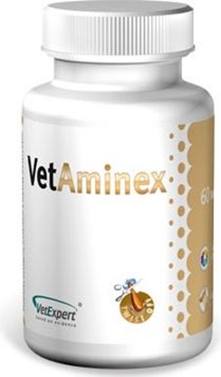 Picture of VET EXPERT Preparat witaminowo-mineralny Vetaminex 60 kaps.