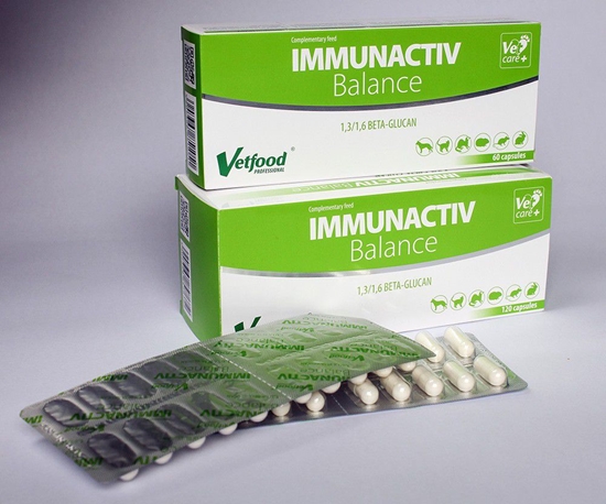 Picture of Vetfood Immunactiv Balance blister 60 kaps.