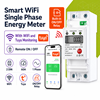 Изображение Viedais WiFi vienfāzes elektrības skaitītājs ar releju un Tuya monitoringu (60A, DIN)