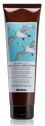 Изображение Davines Natural Tech Well-Being Conditioner 150 ml