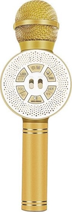 Изображение Mikrofon Vega Karaoke zoty
