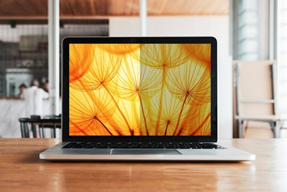 Изображение 3M Blickschutzfilter 16"   Laptop (16:10) PF160W1B