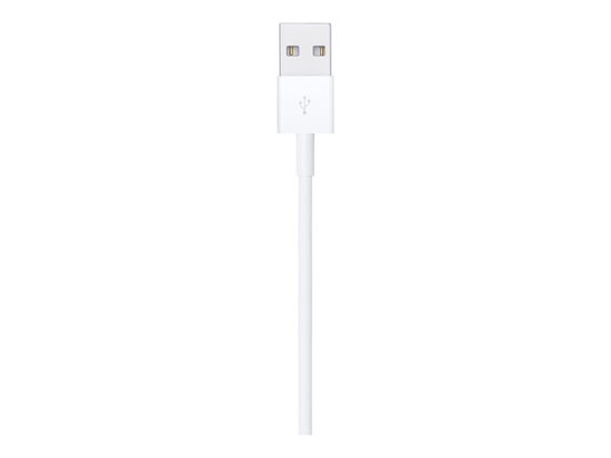 Picture of Apple - Lightning cable - Lightning male to USB male - 1 m