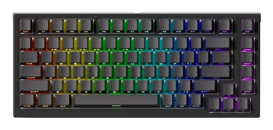 Picture of KEYBOARD USB-C TAC75/BLACK 6978414652983 AKKO