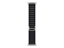 Attēls no Apple 49mm Black Alpine Loop - Large - Natural Titanium Finish | Apple