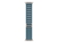 Изображение Apple 49mm Light Blue Alpine Loop - Small - Natural Titanium Finish | Apple
