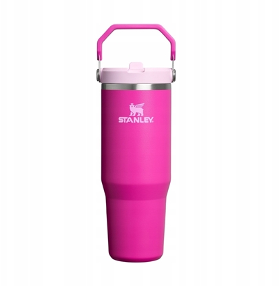 Attēls no Aptel Stanley IceFlow Flip Straw 20 08 V