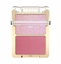 Изображение Eveline EVELINE Kol Ró d/tw Celebrity Skin nr 01