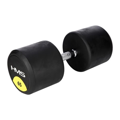 Picture of Gumijota hantele HG PRO 65 KG HMS