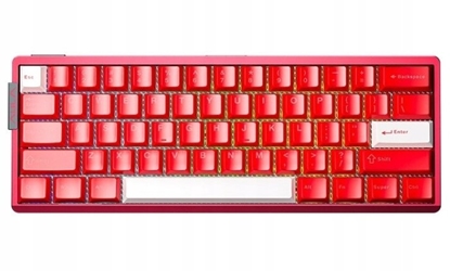 Изображение Klawiatura Aula AULA klawiatura gasket AG60 Pro White+Red Aether magnetic switch RGB