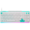 Picture of LOGITECH 920-014003