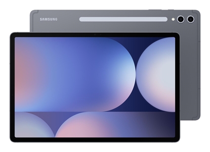 Изображение Samsung Galaxy Tab S10+ WiFi grau