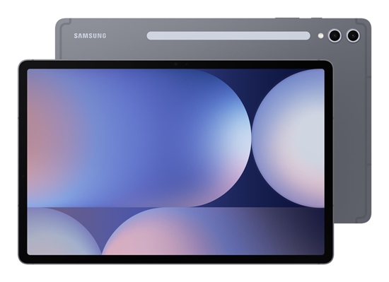 Изображение Samsung Galaxy Tab S10+ WiFi grau