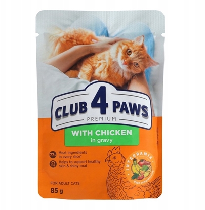 Изображение Synteza CLUB4 KOT sasz.85g KURCZAK w sosie/24