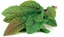 Picture of NONAME