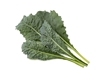 Picture of NONAME