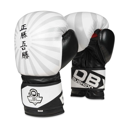 Изображение 10oz boksa cimdi - Japāna - Valor sērija - 10 oz