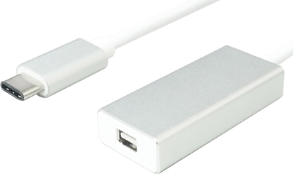 Attēls no Adapteris USB TypeC > miniDP, v1.2, M / F, VALUE