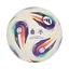 Picture of Adidas Ekstraklasa Mini JY1296 Futbols