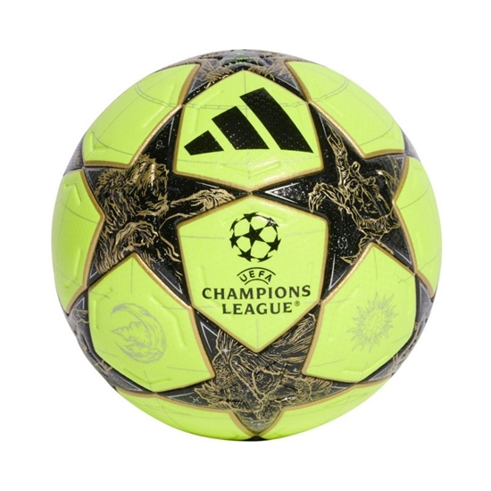 Picture of adidas UCL Pro 25/26 ziemas JP1545 futbola bumba