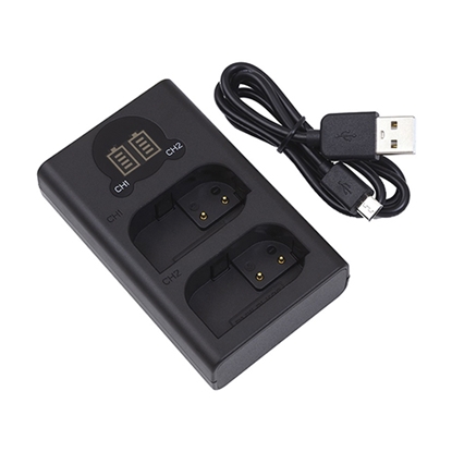 Attēls no Charger PANASONIC DMW-BLK22, Dual