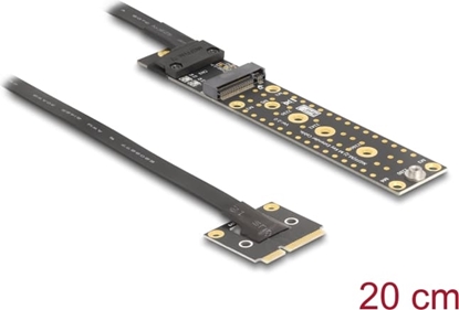 Изображение Delock Adapter Mini PCIe male to M.2 Key M female with cable 20 cm